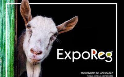 Exporeg – Exposição de Atividades Económicas, Exposição de Pecuária, Mostra de Artesanato