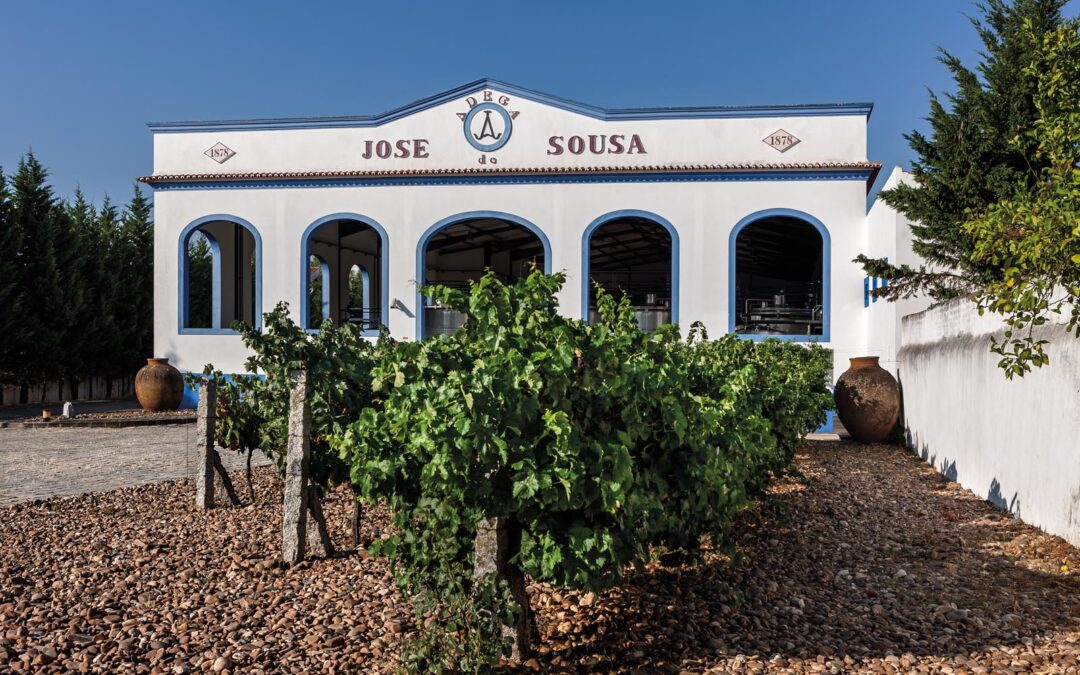 Adega José de Sousa