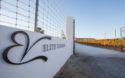 Elite Vinhos