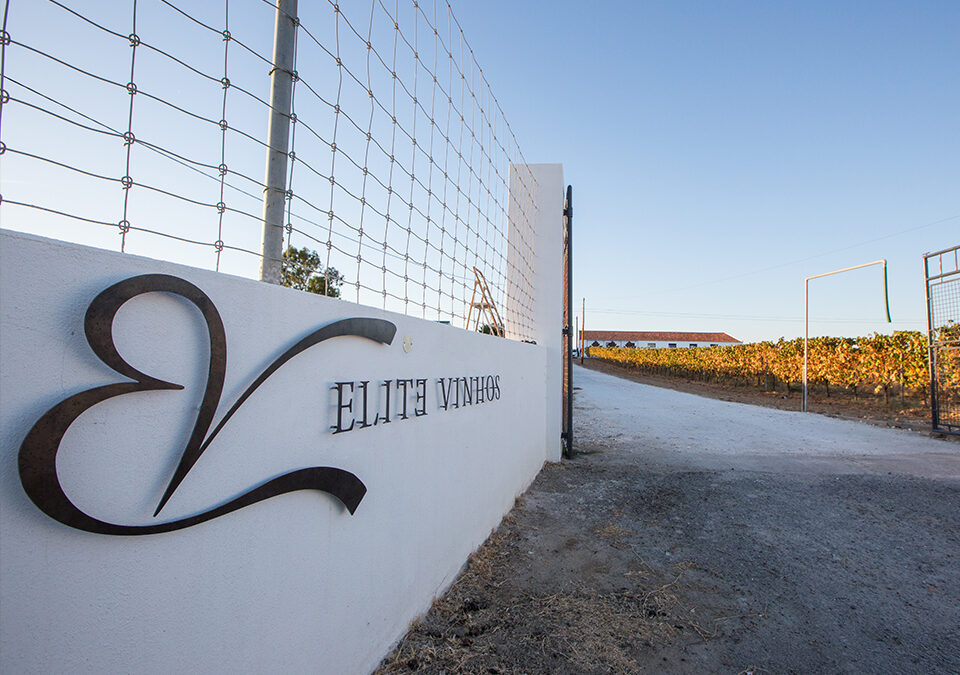 Elite Vinhos