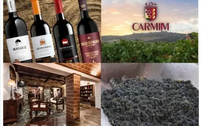 CARMIM