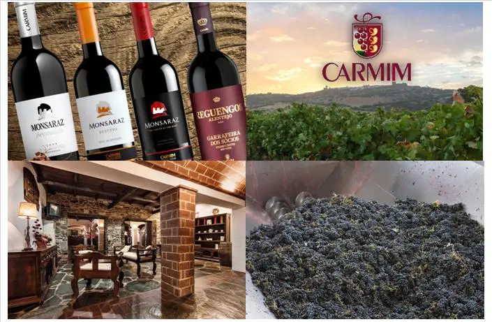 CARMIM