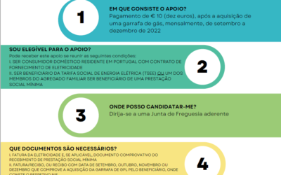 Apoio à aquisição de gás engarrafado pelos consumidores domésticos beneficiários de tarifa social de energia elétrica ou das prestações sociais mínimas